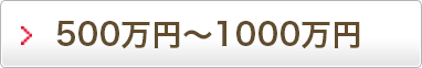 500万円～1,000万円