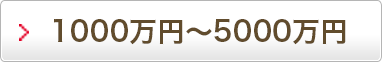 1,000万円～5,000万円