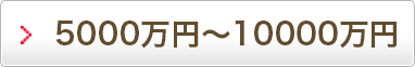 5,000万円～10,000万円