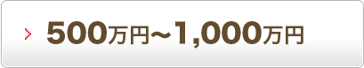 500万円～1,000万円