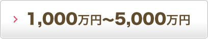 1,000万円～5,000万円