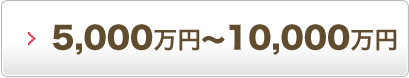 5,000万円～10,000万円